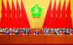 2024年镇残联工作总结最新8篇
