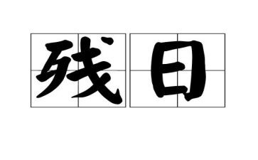 助残日活动讲话稿6篇