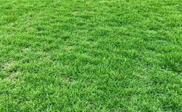读草原读后感8篇
