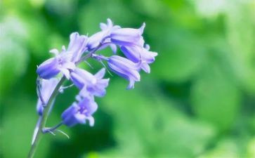 草读后感200字参考8篇