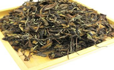 茶道课心得体会7篇