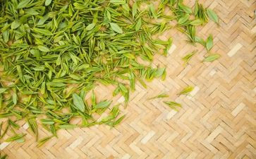 藏茶世界工作总结7篇