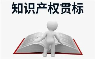 知识产权工作总结通用8篇