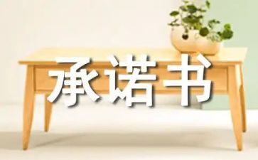 施工工地承诺书6篇