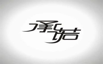 电脑售后服务承诺书8篇