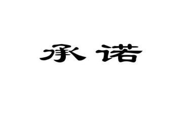 质量保证承诺书模板8篇