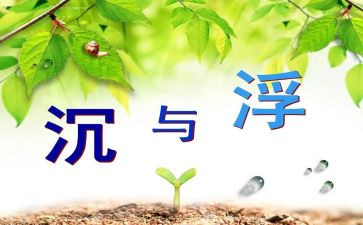 沉与浮的调查报告精选5篇