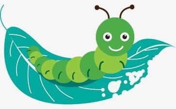 找虫子教案7篇