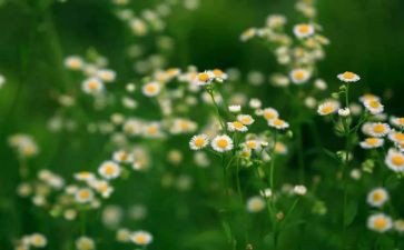 充实的2024作文精选6篇