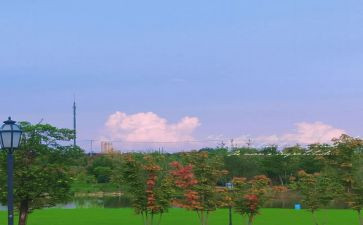 充实的2024作文最新8篇