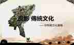 写春节传统文化的作文参考7篇