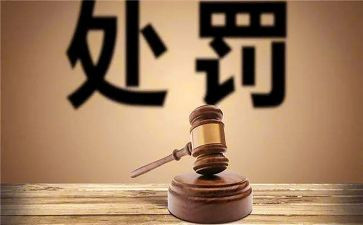 降处分申请书250精选6篇