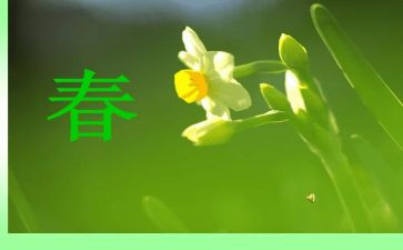 春的演讲稿500字推荐7篇