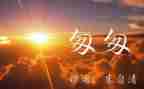 匆匆的心得体会200字8篇