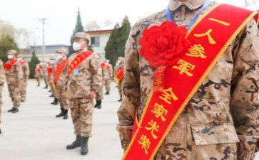 《十五从军征》教案5篇