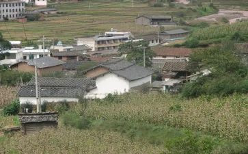 村会计半年度工作总结6篇
