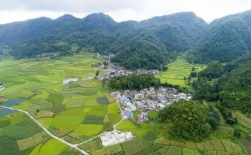 村官自我鉴定8篇