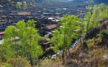 年终村会计述职报告7篇