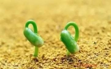 我的挫折的作文8篇