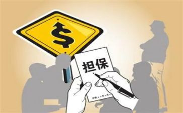 207担保公司工作总结通用6篇
