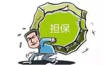207担保公司工作总结优质8篇