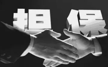担保公司2024年工作总结精选6篇