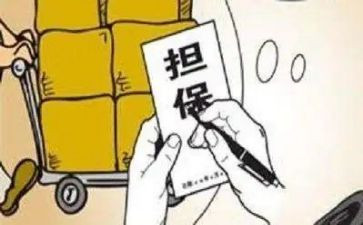 担保公司半年度工作总结6篇