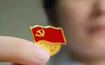 系党总支工作总结5篇