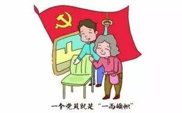 党积述职报告8篇