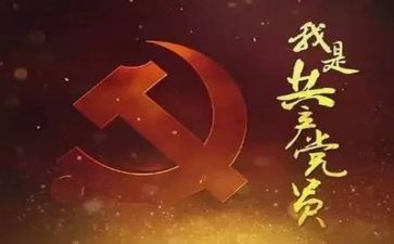 党里个人述职报告推荐5篇