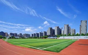 自我鉴定大学400字6篇