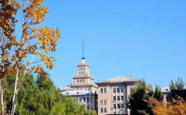 大学活动体会心得体会5篇