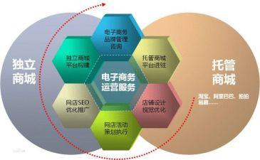 2023电商述职报告6篇