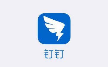 钉钉心得体会7篇