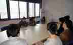 学生顶岗实习学生自我鉴定8篇