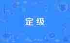 定级表个人总结推荐8篇