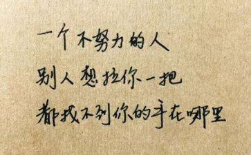 那一刻,我懂了作文600字5篇