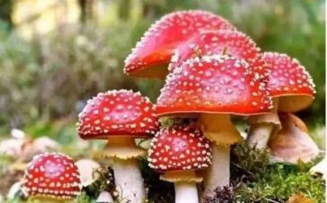 观禁毒网心得体会优秀7篇