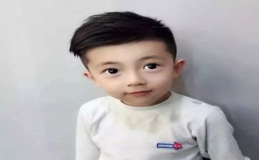 我的儿子读后感模板5篇