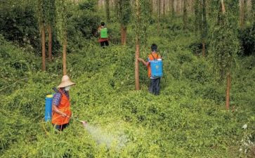 有害生物防治工作总结7篇