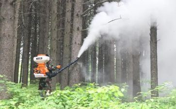 大污染防治工作总结5篇