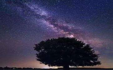 繁星的读书心得体会优秀5篇