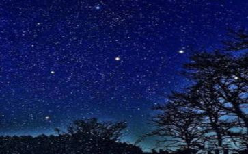 读了繁星的读后感500字8篇