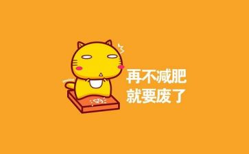 开减肥店的心得8篇