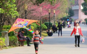 我放风筝作文200字5篇