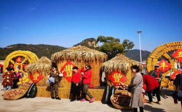 中国农民丰收节作文8篇