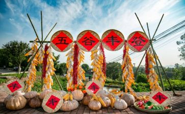 丰收节作文600字作文优质6篇