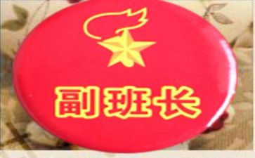 述职报告副班长学生5篇