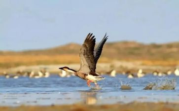 付出与收获的演讲稿8篇