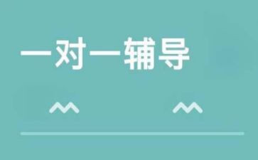 辅导老师工作总结8篇